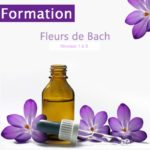 Formation fleurs de Bach niveau 1:1/2